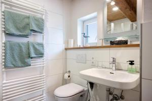 a bathroom with a sink and a toilet and a mirror at Ferienwohnung Trendelmühle Lautrach in Lautrach +20 photos