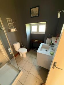 a bathroom with a toilet and a sink at Chez le Cavalier in Génis +22 photos