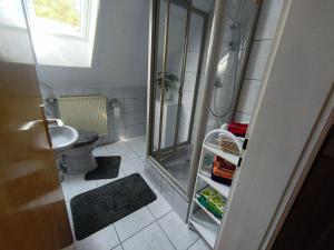 a small bathroom with a shower and a toilet at FeWo Rina in Pottenstein