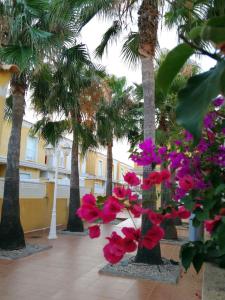a bunch of pink flowers in a courtyard with palm trees at Casa Althaya in Alcalà de Xivert