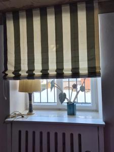 a window with a striped curtain and a lamp at Entzückendes Studio in historischer Villa in Aschau
