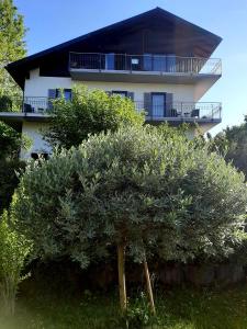 a house with a tree in front of it at Kurbad St Martin in Bad Kohlgrub