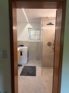 a bathroom with a shower with a glass door at Gemütliche 3-Zimmer-Wohnung mit Kupfertalblick in Forchtenberg