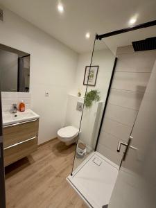 a bathroom with a toilet and a glass shower door at Studio 2 neuf RDC hyper centre-ville in Bar-le-Duc +7 photos
