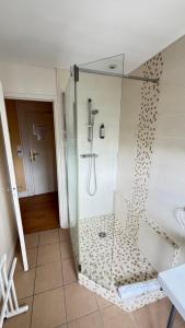 a shower with a glass door in a bathroom at Hotel Des Voyageurs in Le Rouget +23 photos