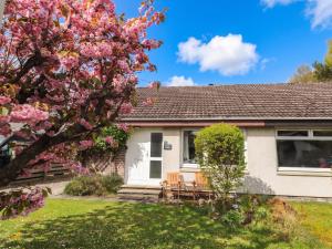 a house with a flowering tree in the yard at Steam Cottage in Aviemore