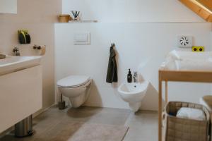 a bathroom with a toilet and a sink at Druhej Domek u ráje in Bystřice +48 photos