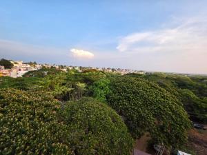 a view of a city with trees and buildings at Tree Top Residency in Mysore
