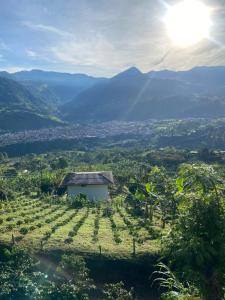 a vineyard with a building in the middle of a field at Cabaña la Divisa in Jardin