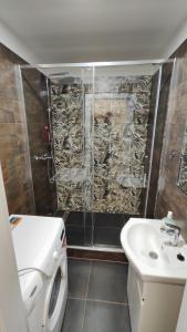 a bathroom with a shower and a toilet and a sink at Apartmán pro 4 osoby, Most M1 in Most