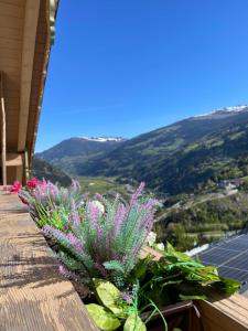 a bunch of flowers on a balcony with a view at Der Waidachhof Zillertal in Hainzenberg