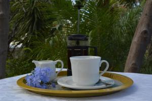 a tray with two cups and blue flowers on a table at The Country Garden in Ladismith