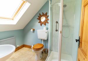 a bathroom with a toilet and a shower at Blasket Cottage - Portmagee in Lateeve