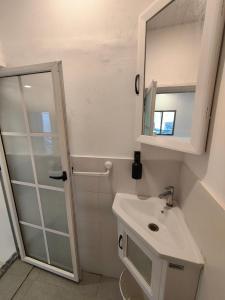 a bathroom with a sink and a mirror and a shower at Kiki Cottage in Mount Ābu
