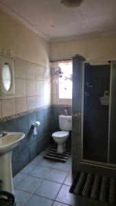 a bathroom with a toilet and a sink at Herberg 5 in Vosburg