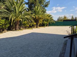 a brick driveway with palm trees in a park at Crocus Corner - Kyalami in Kyalami