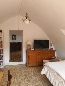 a bedroom with a bed and a tv on a dresser at Gîte des pêcheurs, Gorges du Tarn in Mostuéjouls