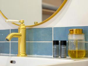 a sink with two bottles of oil and a mirror at Studio cosy proche des Thermes in Royat +11 photos