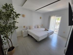 a white bedroom with a bed and a potted plant at Villa Palmer in Paguera