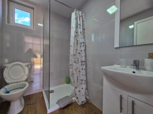 a bathroom with a toilet and a sink and a shower at Casa Papițu in Vadu Izei +111 photos