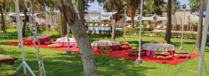 a park with two tables with pumpkins on the grass at Domaine Couleurs Berbères, Piscine, Vue Atlas, Bivouac & Expériences à Lalla Takerkoust in Lalla Takerkoust