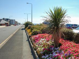 a row of flowers on the side of a road at Premier Caravan 10 in Tywyn