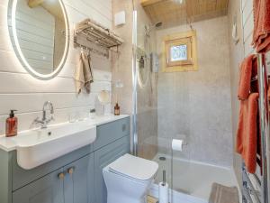 a bathroom with a toilet and a sink and a shower at Dôl Werdd Lodge in Glanamman