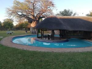 a small swimming pool with a thatch roof at Munati B&B in Musina
