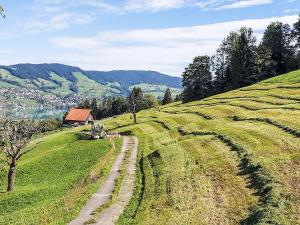 a large grassy hill with a house on it at Apartment Fruehalp by Interhome in Unterägeri