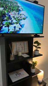a flat screen tv sitting on a shelf with plants at Norte Urban Suites in Resistencia
