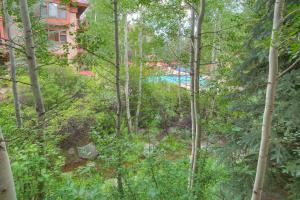 a view of a forest with a pool in the background at Arrowhead Village, A Vail Resorts Property in Edwards