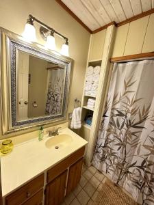 a bathroom with a sink and a shower at Cozy Beaver Lake Getaway in Lowell
