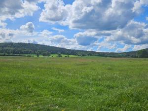 a field of green grass with a cloudy sky at Unterkunft , Ferienwohnung auf dem Land, Monteurswohnung in Kamenz