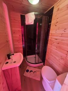 a bathroom with a sink and a toilet and a shower at Glamping Izerska Bajka in Mirsk +30 photos