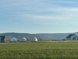 three domes in a field next to a grass field at Glamping Izerska Bajka in Mirsk