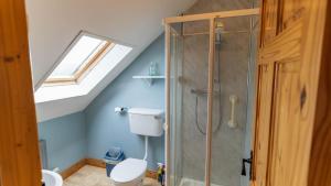 a bathroom with a toilet and a shower at Crab Cottage - Portmagee in Lateeve +26 photos