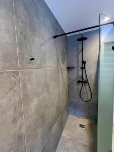 a bathroom with a shower with a glass door at Maison climatisée indépendante et de plein pied in Bischoffsheim +39 photos