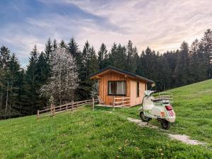 a scooter parked in front of a small cabin at Tiny House Urlaub in Ybbsitz +25 photos