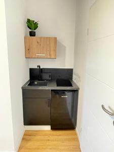 a small kitchen with a sink and a dishwasher at GWP Apartments in Lohmar