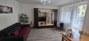 a living room with a couch and a tv at Eve's Home with Garden in Magreglio +12 photos
