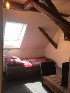 a bedroom with a bed and a skylight at Privát u koní in Úherce