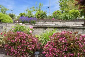 a garden with pink flowers on a stone wall at Mason Ranch - Game Room in Mason