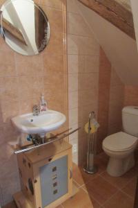 a bathroom with a sink and a toilet and a mirror at Privát u koní in Úherce +17 photos