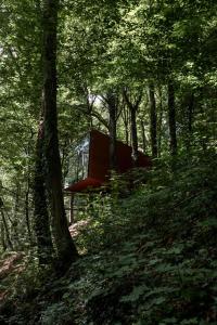 a red object sitting in the middle of a forest at Olivine 12 in La-Roche-en-Ardenne