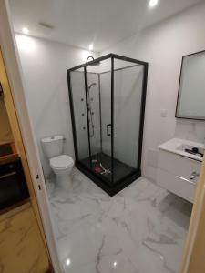 a bathroom with a glass shower and a toilet at Small modern air-conditioned cocoon in Châteauroux
