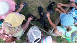 a group of children sitting in the grass feeding birds at Ferme de L'Aoueille in Pouylebon +46 photos