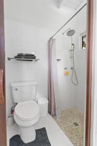 a white bathroom with a toilet and a shower at Mandavilla Apartment Curacao in Willemstad