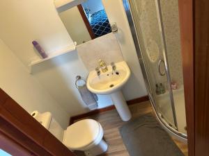 a bathroom with a sink and a toilet and a shower at Pisgah Guesthouse Snowdonia in Blaenau-Ffestiniog +73 photos