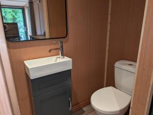 a small bathroom with a sink and a toilet at Bird Box in Carlisle +31 photos