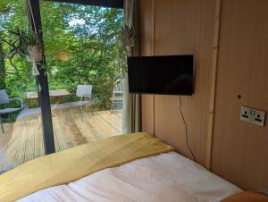 a bedroom with a bed and a television on a wall at Bird Box in Carlisle